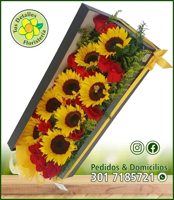 Caja # 04 UE-UC / $295.000