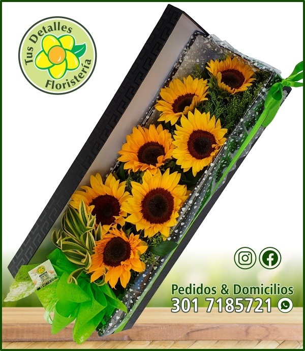 Caja # 09 UU-L / $127.000