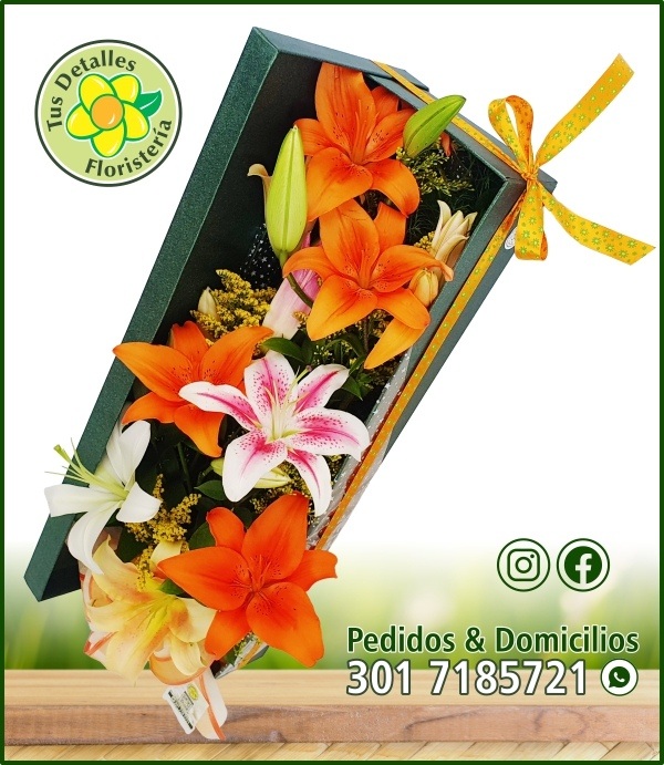 Caja # 11 UU-MM / $116.000
