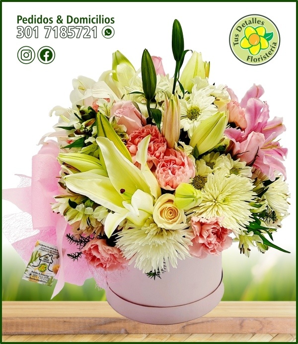 Caja # 20 UU-MU / $217.000