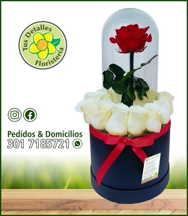 Caja # 35 UU-MI / $245.000