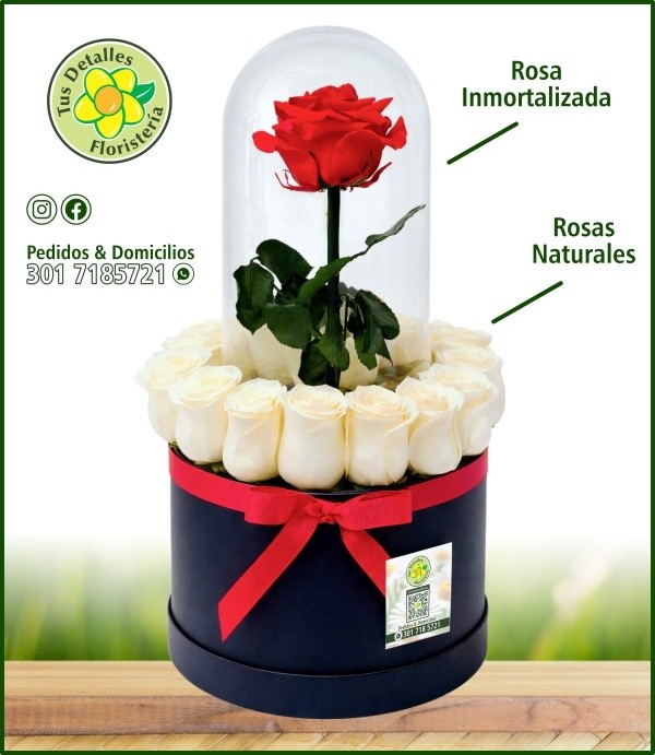 Caja # 35 UU-MI / $295.000