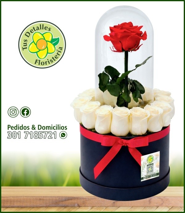 Caja # 35 UU-MI / $285.000