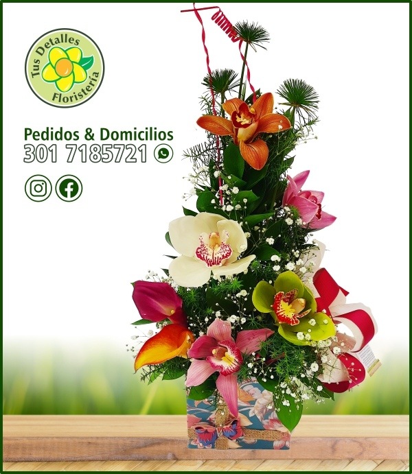 Caja # 57 UU-I / $100.000