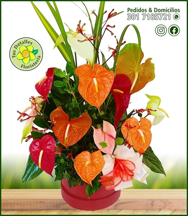 Caja # 28 UI-MU / $143.000