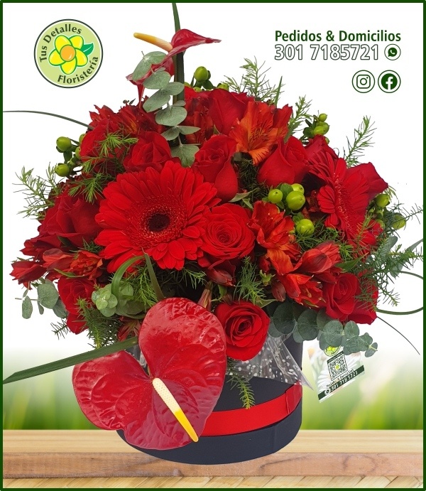 Caja # 23 UI-UO / $207.000