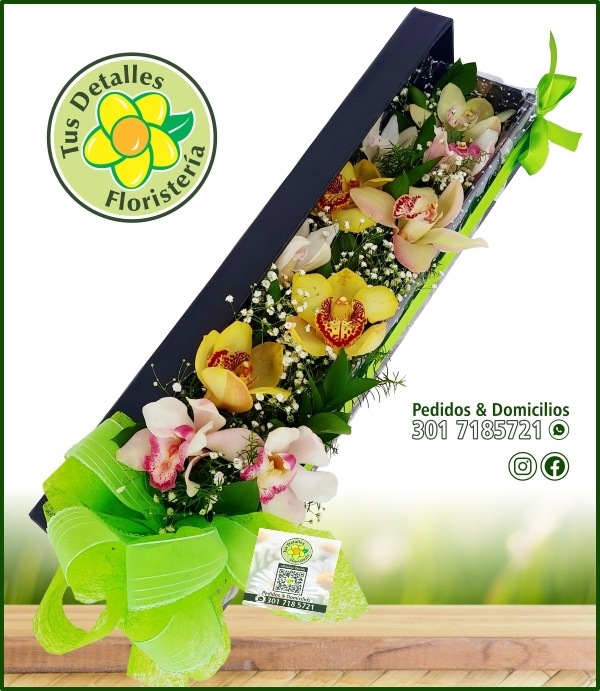 Caja # 14 UI-MO / $135.000