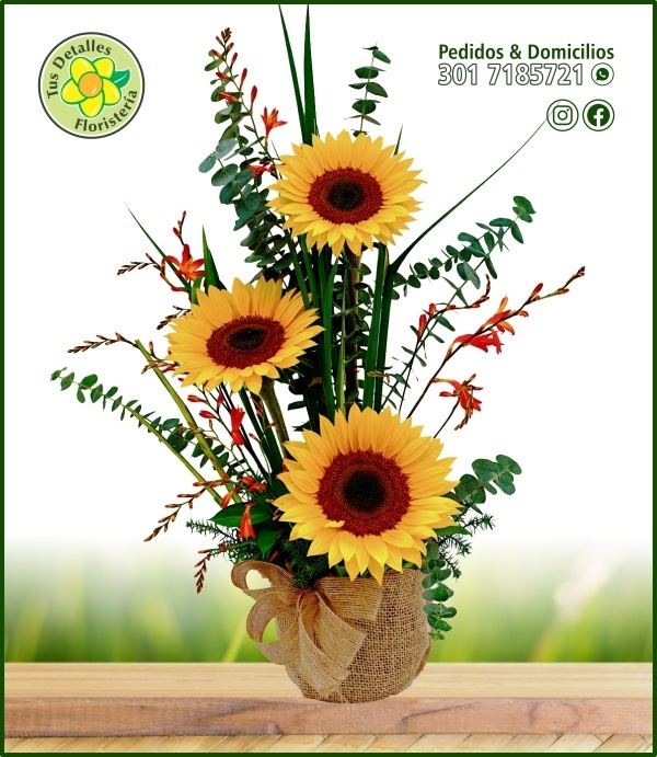 Caja # 54 (Matera) UE-R / $55.000