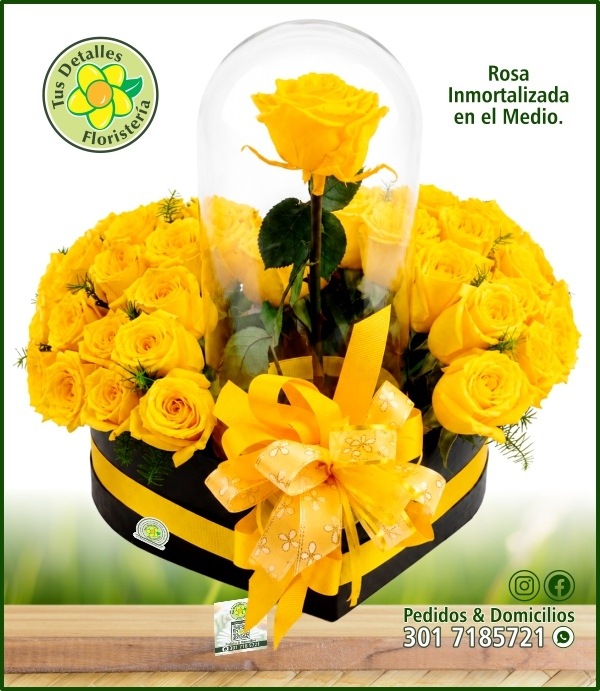 Caja # 46 UE-EO / $595.000