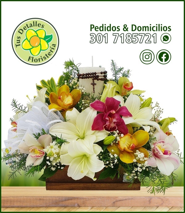 Novenario # 03 / $168.000