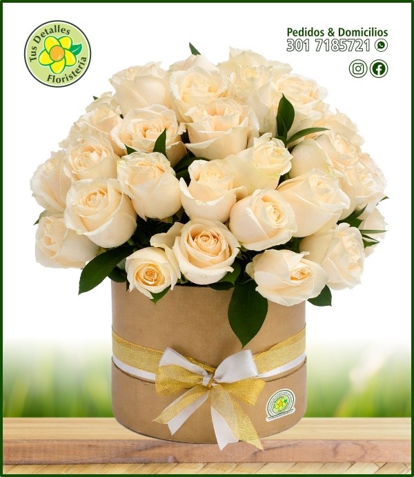Caja Condolencias UE-IO / $348.000