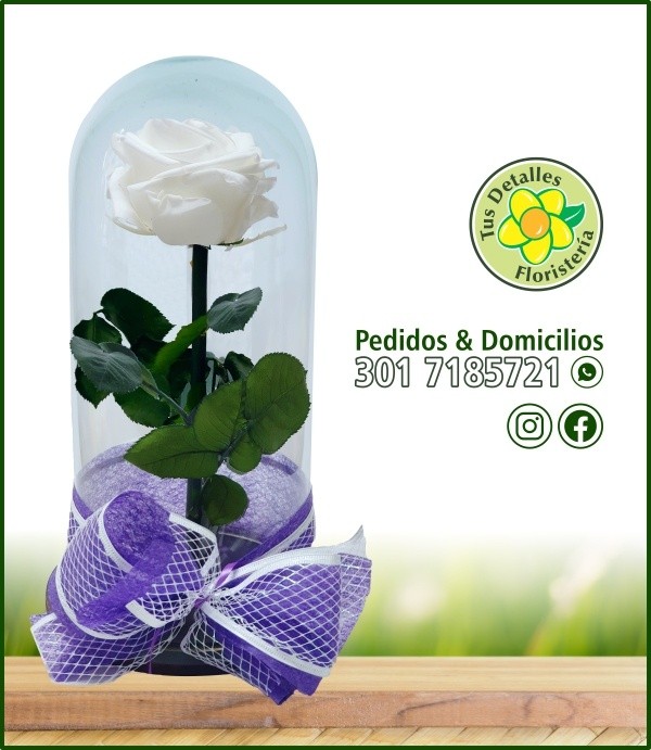 Rosa Inmortalizada / $140.000