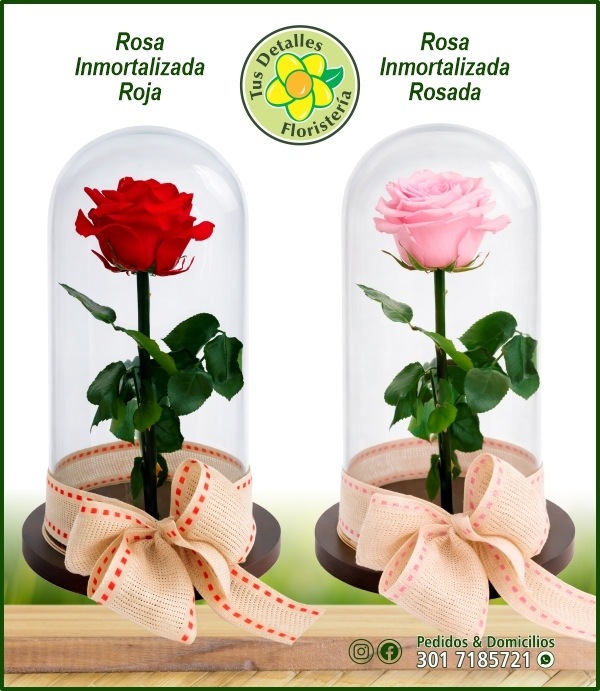 Rosa Inmortalizada / $160.000