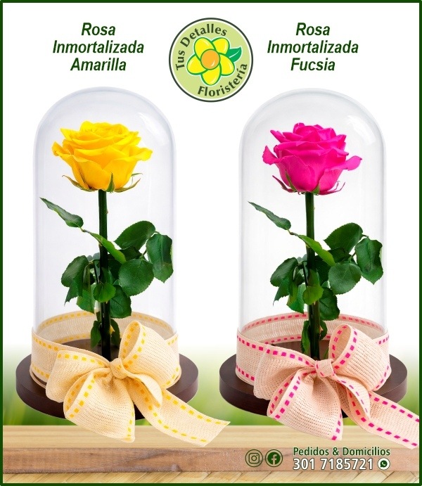 Rosa Inmortalizada / $160.000