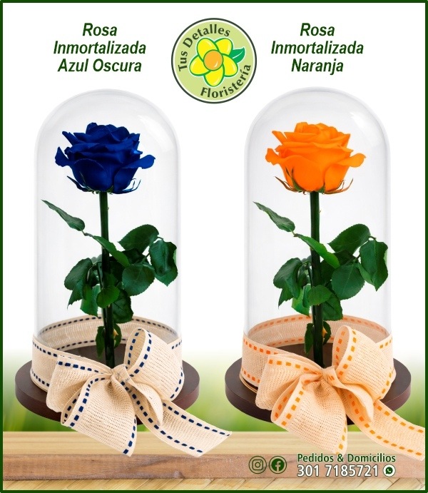 Rosa Inmortalizada / $160.000