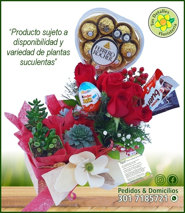 Caja 4 Suculentas, Rosas, Chocolates / $130.000