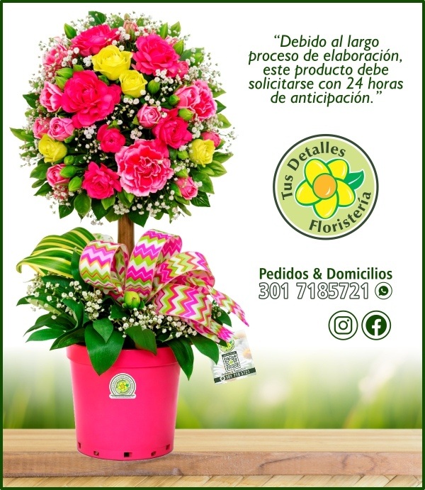 Topiario Claveles # 01 / $185.000