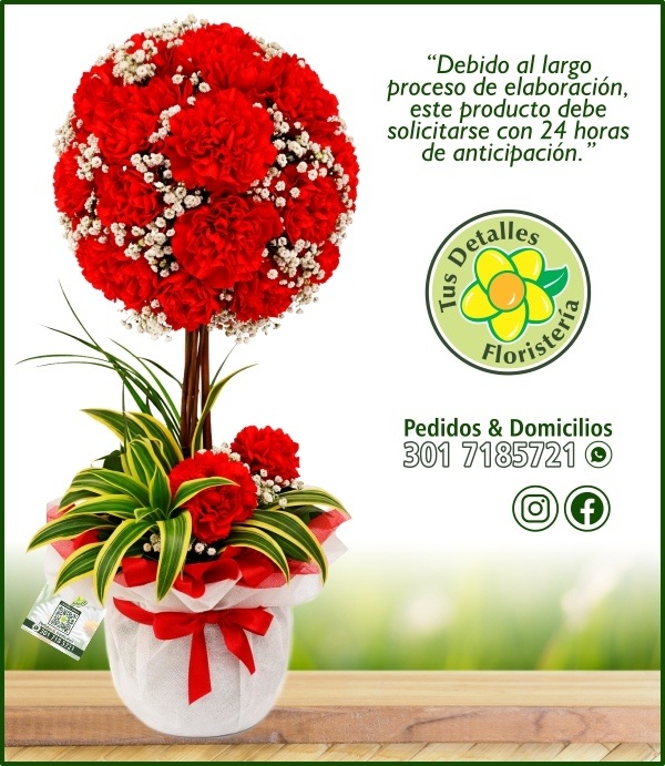 Topiario Claveles # 02 / $185.000