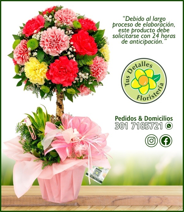 Topiario Nacimiento Niña / $195.000