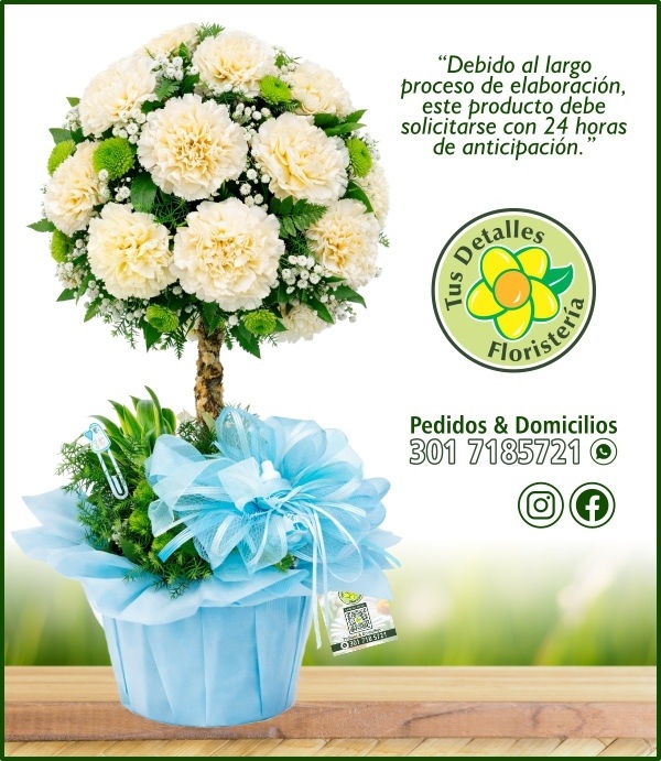 Topiario Nacimiento Niño / $195.000