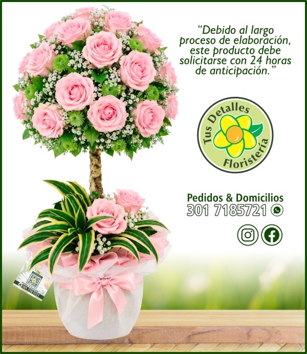 Topiario 32 Rosas # 02 / $290.000