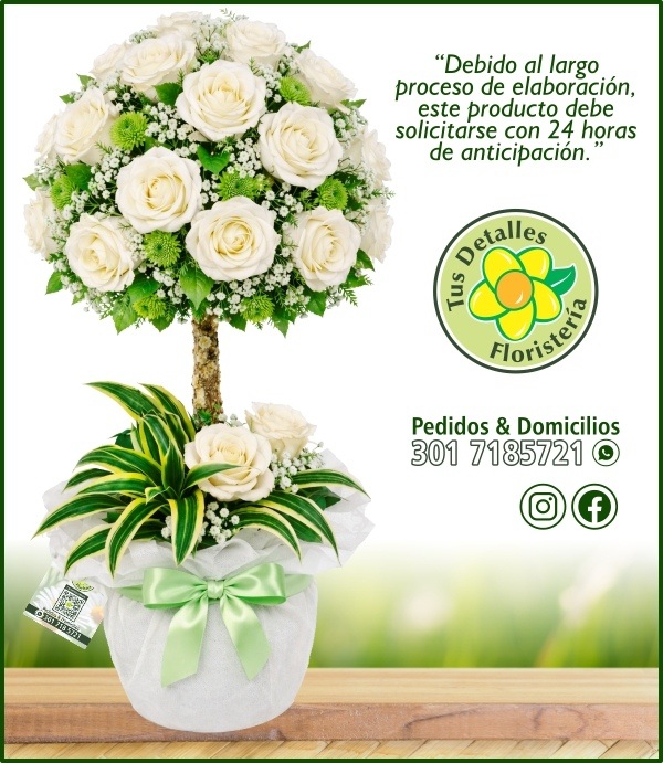 Topiario 32 Rosas # 01 / $290.000