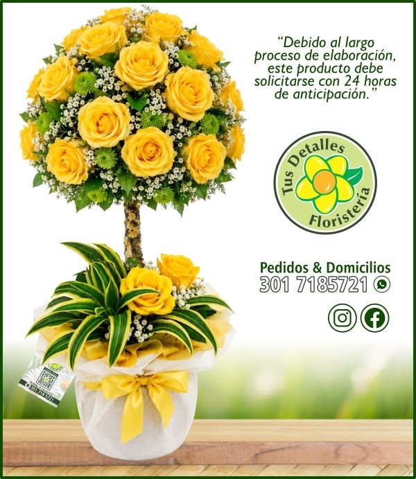 Topiario 32 Rosas # 03 / $290.000