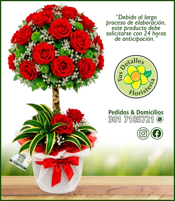Topiario 32 Rosas # 04 / $290.000