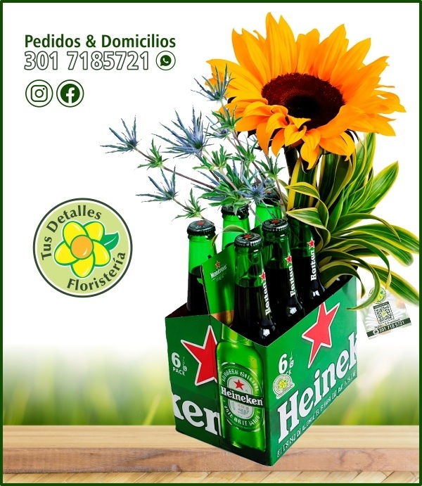 Six Pack Heineken 250ml Deco /$70.000