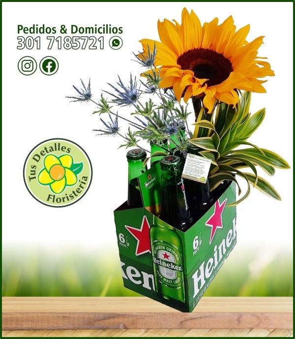 Six Pack Cerveza Decorada / $65.000