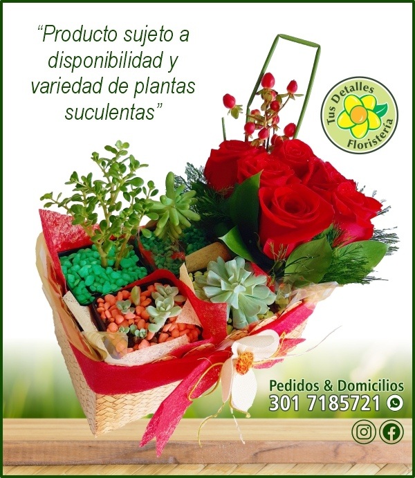 Caja 4 Suculentas y Rosas / $70.000