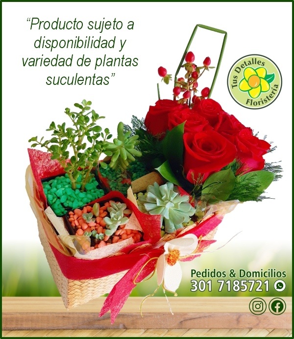 Caja 4 Suculentas y Rosas / $80.000