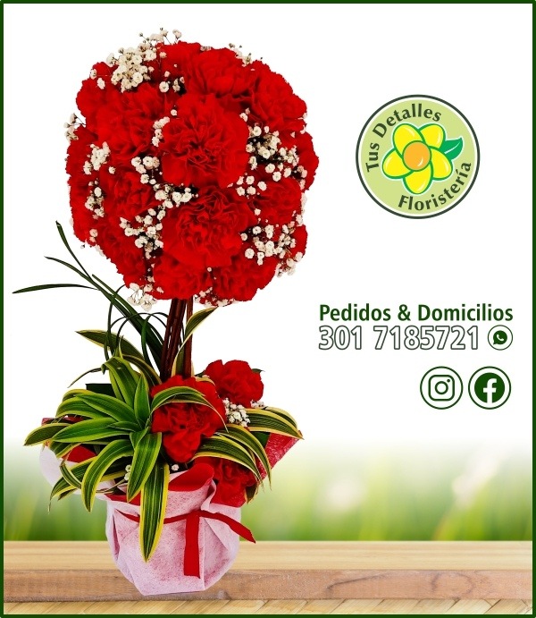 Topiario Claveles # 01 / $140.000