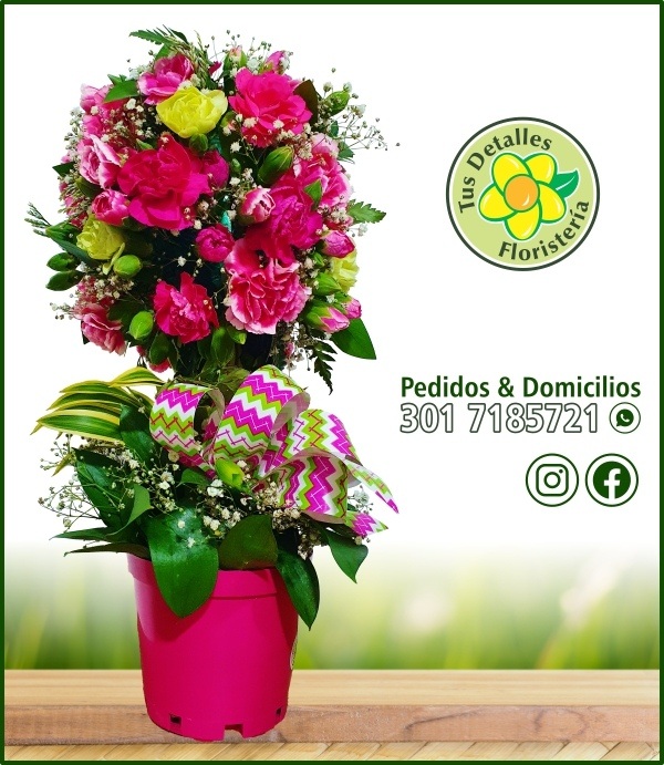 Topiario Claveles # 02 / $150.000
