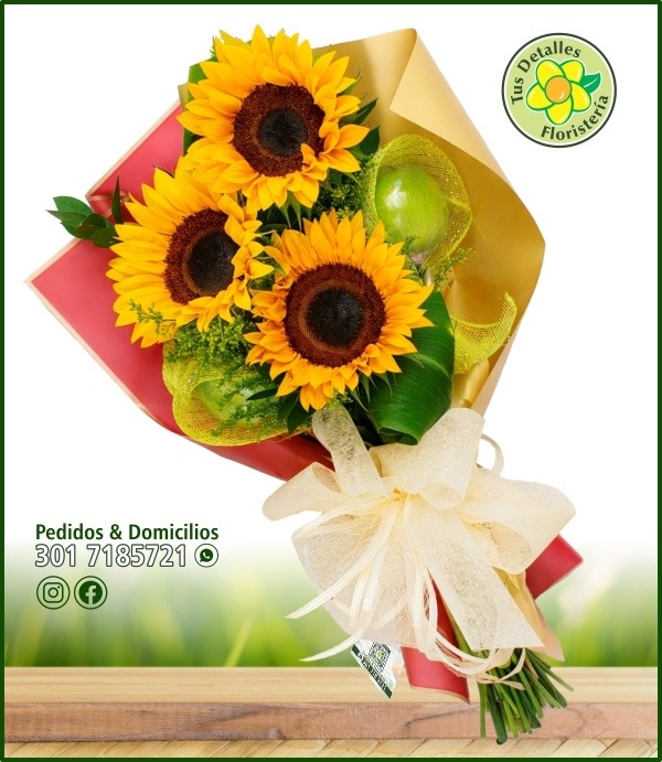 Ram.#34 / 3Girasoles 2 Manzanas / $58.000