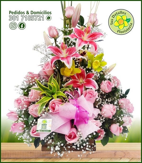 Ramo # 01 UI-UC / $217.000