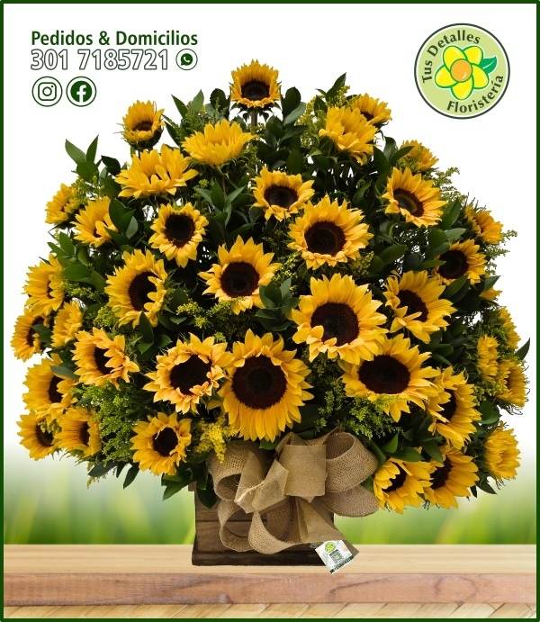 Ramo # 03 UU-CO / $423.000