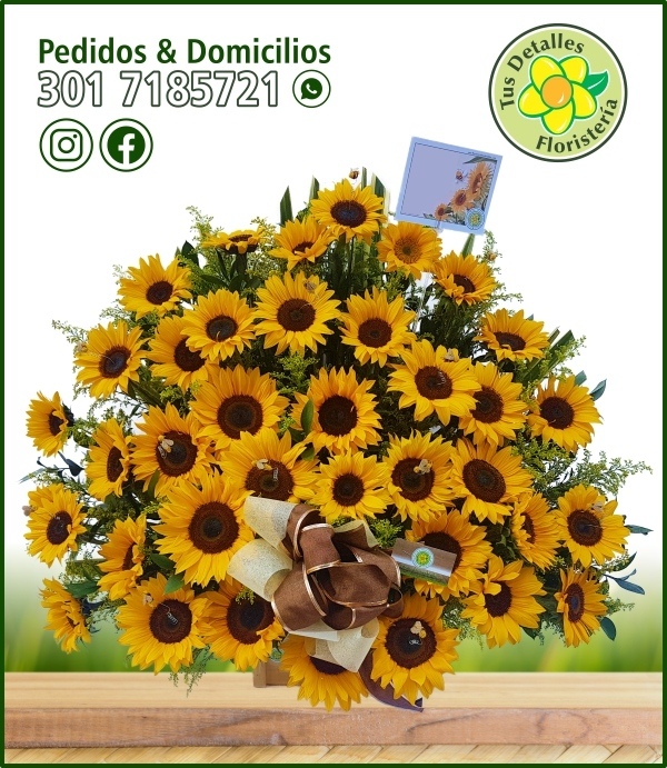 Ramo # 03 UU-CO / $423.000